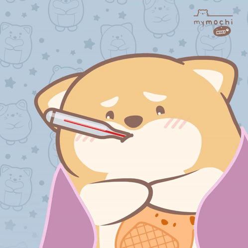 Dog Hund GIF