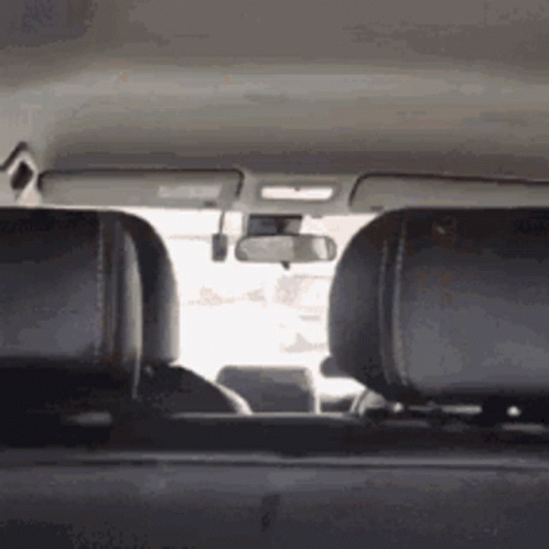 Dog Hungry GIF. This 498 x 498 animated GIF is part of our sausage face collection. Related themes include eat, hungry, puppy. Created by lgfairman. View…
