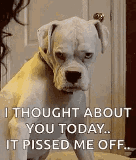 Dog I Thought About You GIF