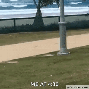 Dog Jump GIF. This 300 x 300 animated GIF is part of our lustiges gewitter collection. Related themes include funny animals. Created by azvargas. View the…