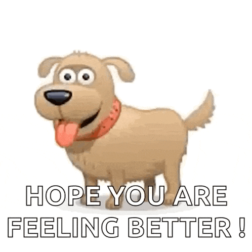 Dog Jumping GIF