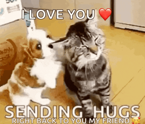 Dog GIF