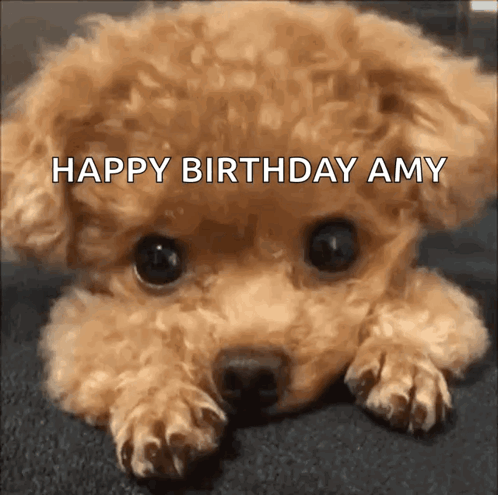 Dog GIF