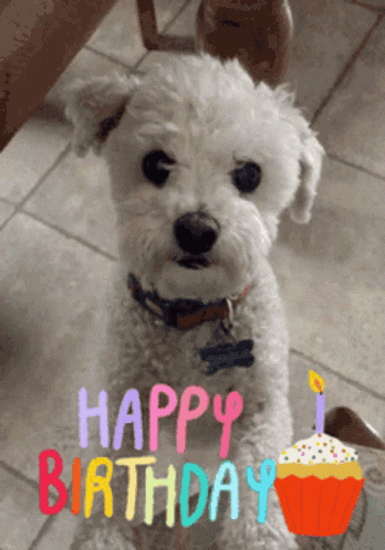 Dog Love Cute Dog GIF