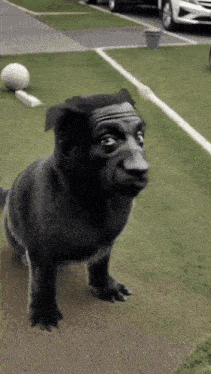 Dog Man Dog Ai GIF