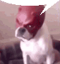 Dog Mask Sticker