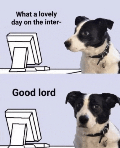 Dog Meme Meme