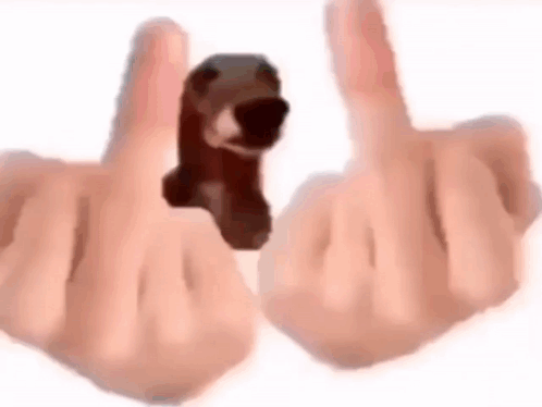 Dog Middle Finger GIF