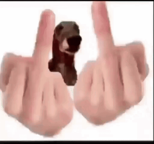 Dog Middle Finger GIF