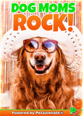 Dog Moms Rock Mahm Awoo Pet Parent Doggo Pupper Cuddle Hug Petjuvenate Hooman Frens Boop Blep Mlem Sploot Boof Heckin Heck Pj Love Hug GIF