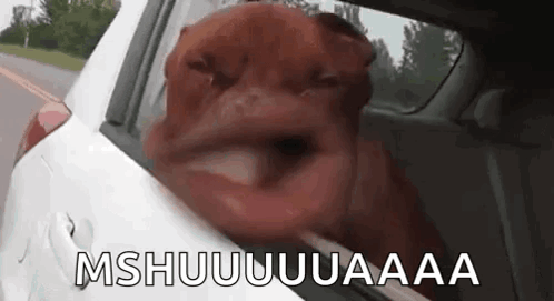Dog Mouth GIF. This 498 x 271 animated GIF is part of our lol face collection. Related themes include mouth. Created by licona. View the original animation…