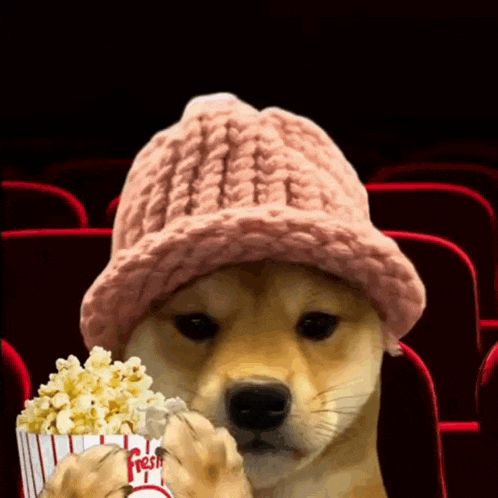 Dog Movie GIF