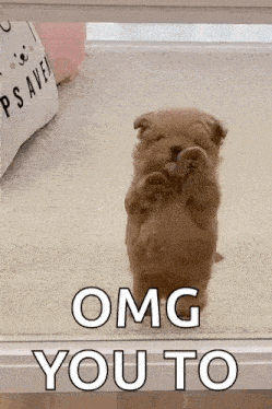 Dog Puppy GIF