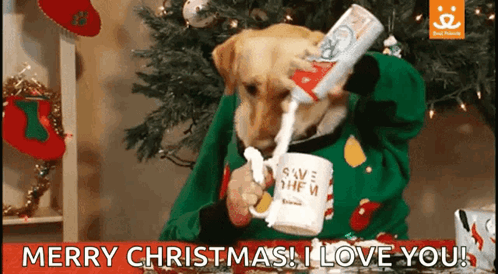 Dog GIF