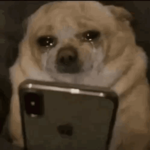 Dog Scroll GIF. This 498 x 498 animated GIF is part of our funny sad collection. Related themes include cry, crying, crying dog. Created by ynwsebas. View…