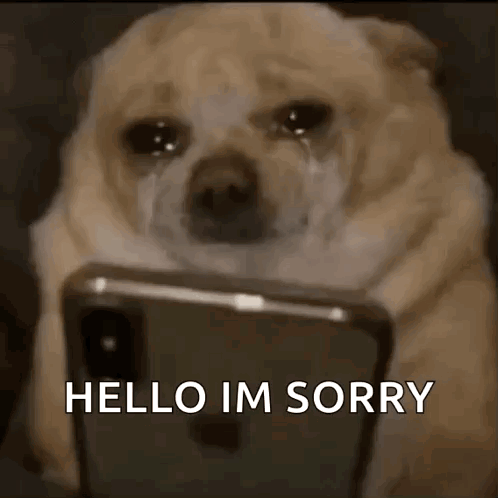 Dog Scroll GIF