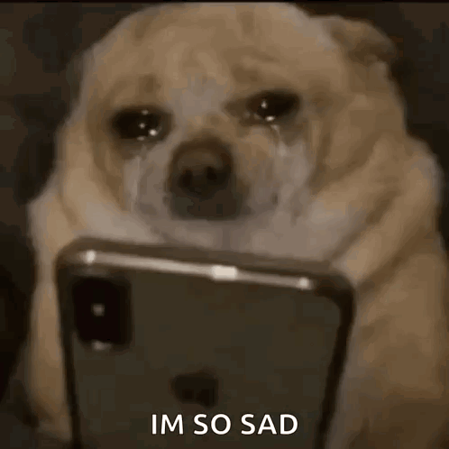 Dog Scroll GIF
