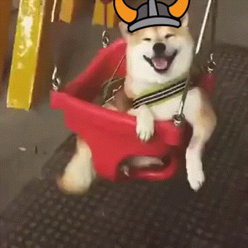 Dog Shiba GIF. This 498 x 498 animated GIF is part of our shiba inu smile collection. Related themes include cute, funny, laugh. Created by truevikings…