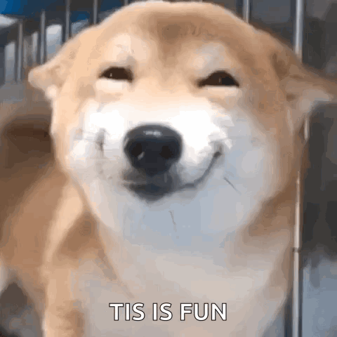 Dog Smile GIF. This 480 x 480 animated GIF is part of our shiba inu smile collection. Created by Ehuppert. View the original animation, share it, or browse…