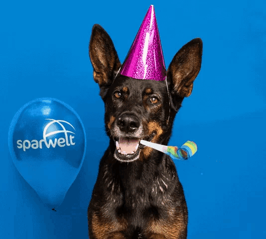 Dog Smile Dog GIF