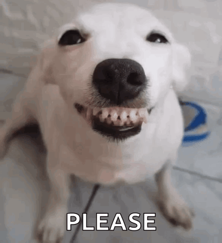 Dog Smile Dog GIF. This 455 x 498 animated GIF is part of our please collection. Created by jdbdhdvd. View the original animation, share it, or browse…