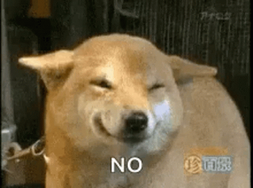 Dog Smile GIF. This 498 x 370 animated GIF is part of our shiba inu smile collection. Related themes include cute, no, smile. Created by beckaholl12. View…