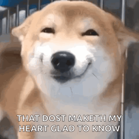 Dog Smile GIF. This 480 x 480 animated GIF is part of our shiba inu smile collection. Created by g1fs4days. View the original animation, share it, or browse…