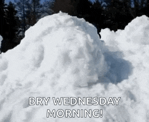 Dog Snowiscoming GIF