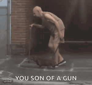 Dog Walk GIF