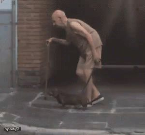 Dog Walk GIF