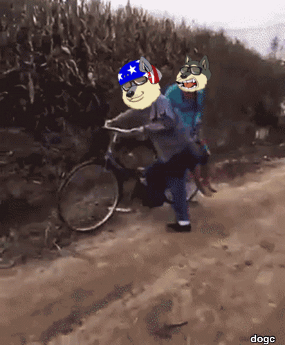 Dogc Doge GIF