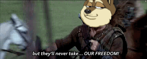 Dogc Nft GIF