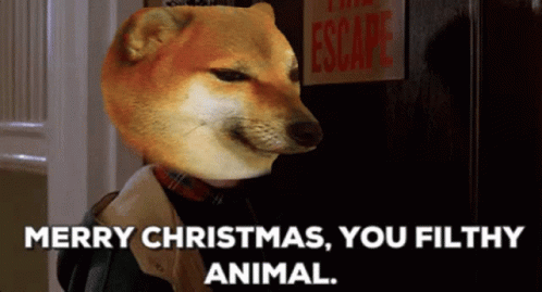 Doge Dogecoin GIF. This 498 x 269 animated GIF is part of our merry christmas ya filthy animal collection. Related themes include 69, doge. Created by…