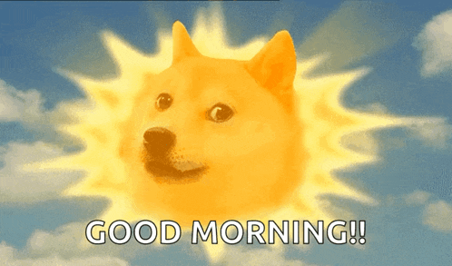 Doge Dogecoin GIF
