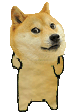 Doge Sticker