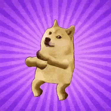 Doge GIF