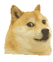 Doge Spinning Sticker