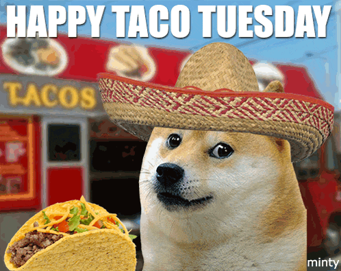 Doge Taco GIF
