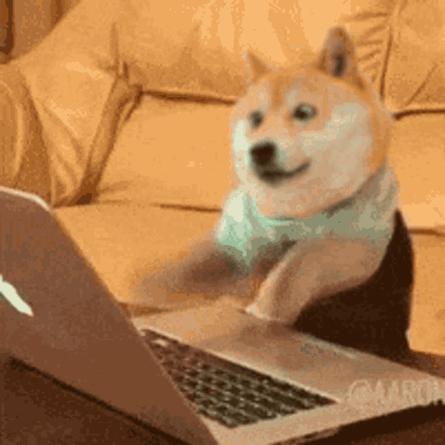 Doge Type GIF