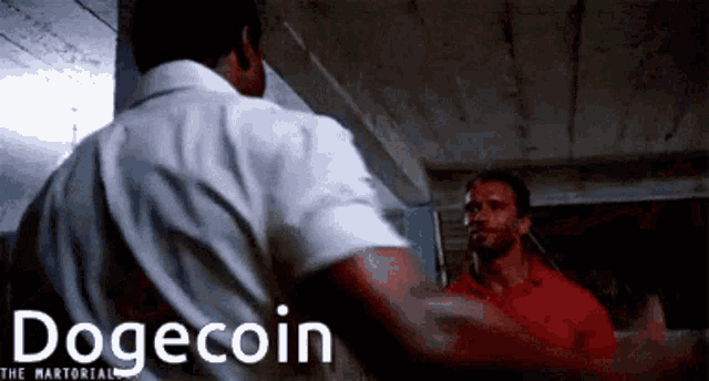 Dogeamc Amc Doge Dogecoin GIF