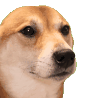 Dogebop Nod Sticker