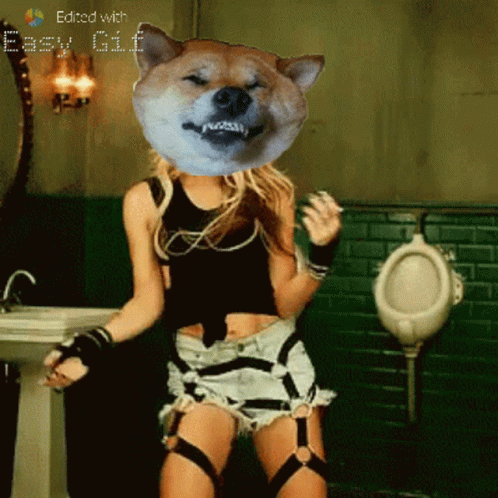 Dogecoin Celebrate GIF. This 498 x 498 animated GIF is part of our shakira belly dancing collection. Related themes include celebrate, dance, doge. Created…