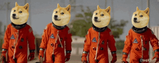Dogecoin Notkdk3 GIF