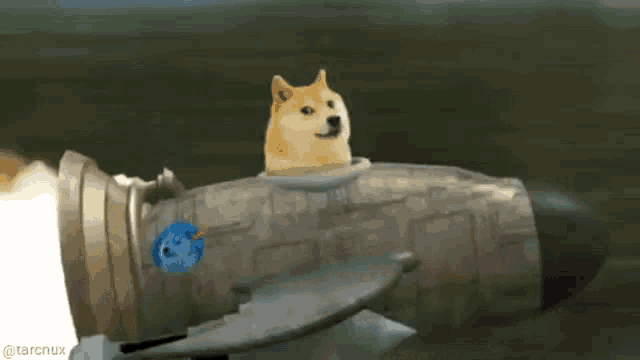 Dogecoin Rocket GIF