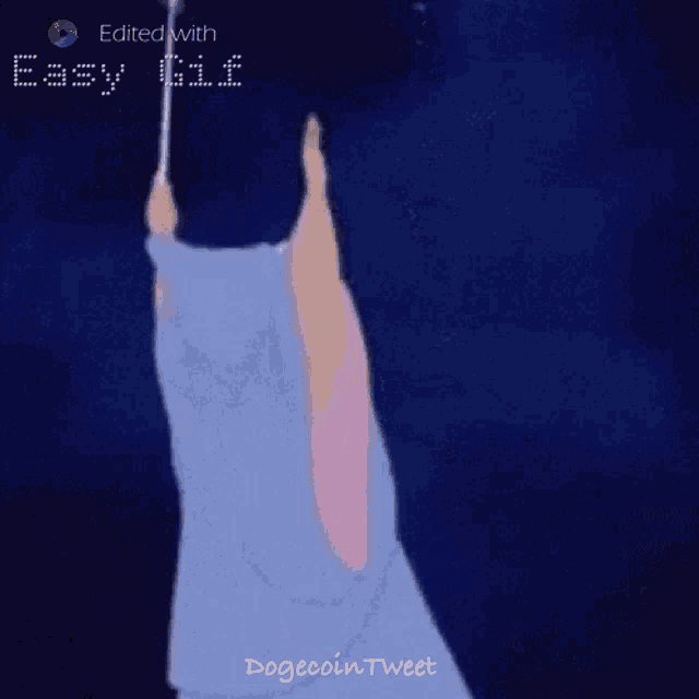Dogecoin Tweet Dogecoin GIF
