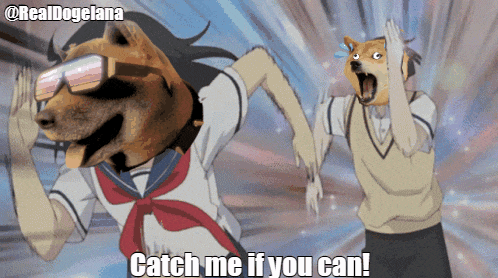 Dogelana Solana GIF