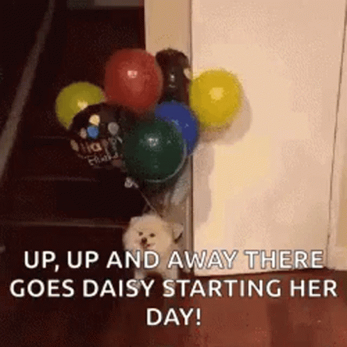 Doggo Balloons GIF