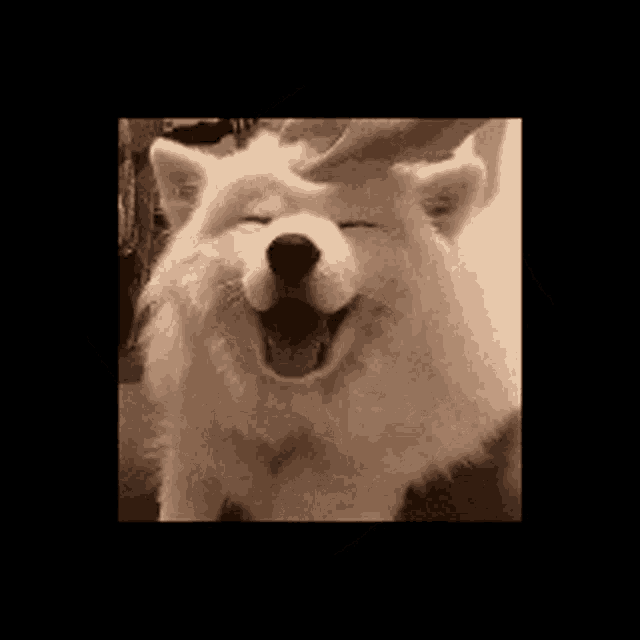 Doggo GIF