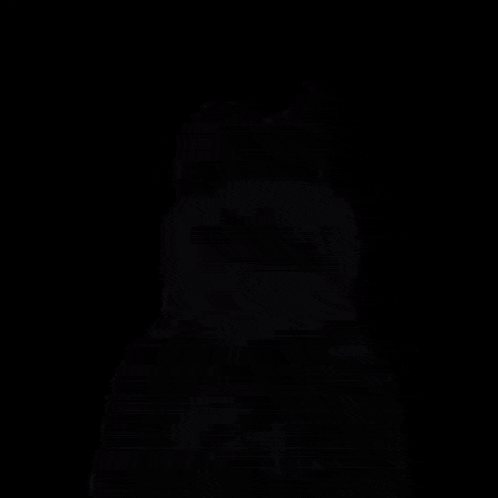 Dolan Glitch Dolan Duck GIF