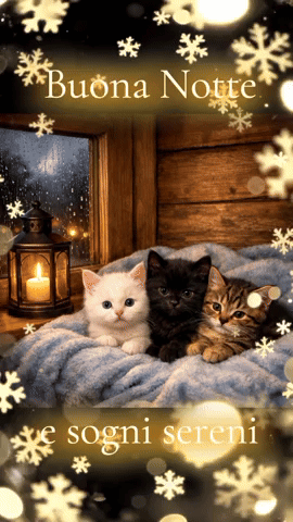 Dolce Notte Buonanotte Sogni D'Oro GIF